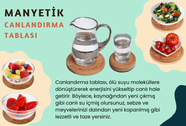manyetik 1 Canlandırma Tablası Nedir?
